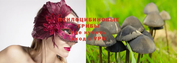 хмурый Сосновоборск