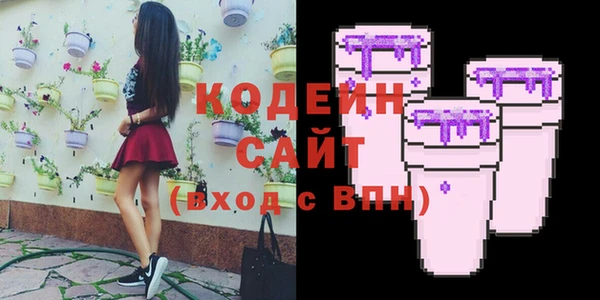хмурый Сосновоборск