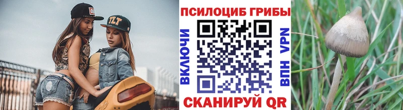 Псилоцибиновые грибы прущие грибы  что такое наркотик  hydra онион  Ханты-Мансийск 