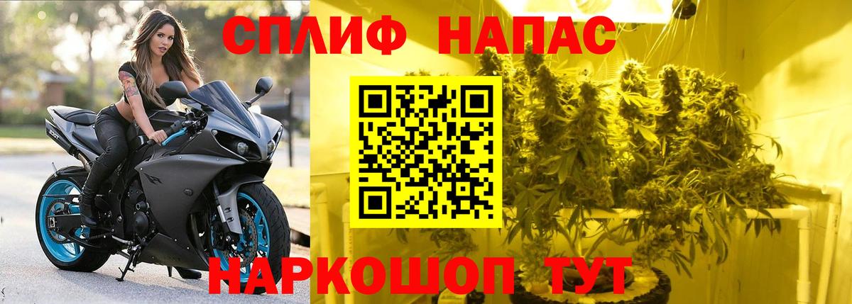 Бошки Шишки тримм Ханты-Мансийск